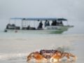 Small Crab and our Dive Boat taken with a Canon SD550 Point & Shoot 